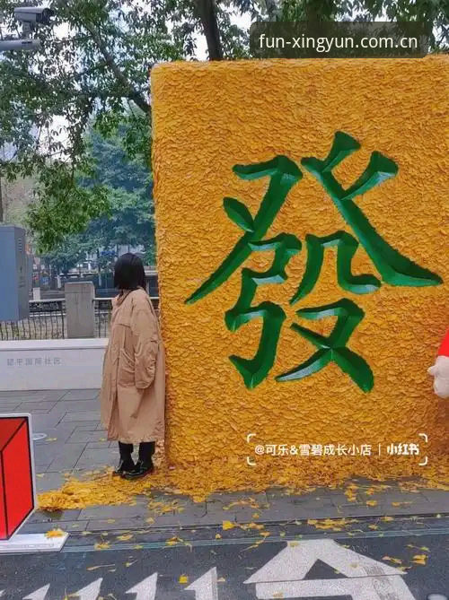 为什么选择杏运娱乐官网2026最新版本？实战派告诉你答案